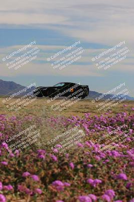 media/Jan-08-2023-SCCA SD (Sun) [[8f6a5b9391]]/Intermediate Group/Session 2 (Short Straight)/